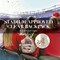 Anti-theft Clear Backpack, Small Mini Clear Bag for Sport Event Concert with Cute Fur Ball